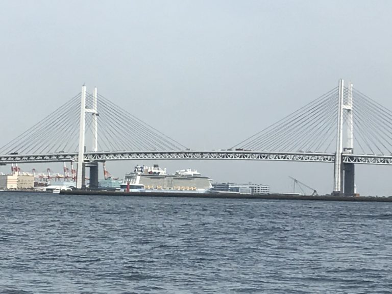 クァンタム・オブ・ザ・シーズ（横浜港）の写真