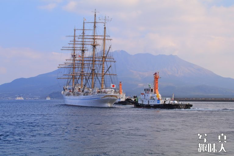 海王丸(2代)（鹿児島港 北ふ頭）の写真