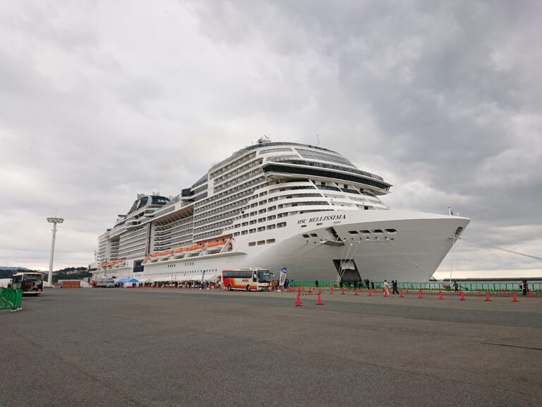 MSCベリッシマ（和歌山下津港 西浜第5岸壁）の写真
