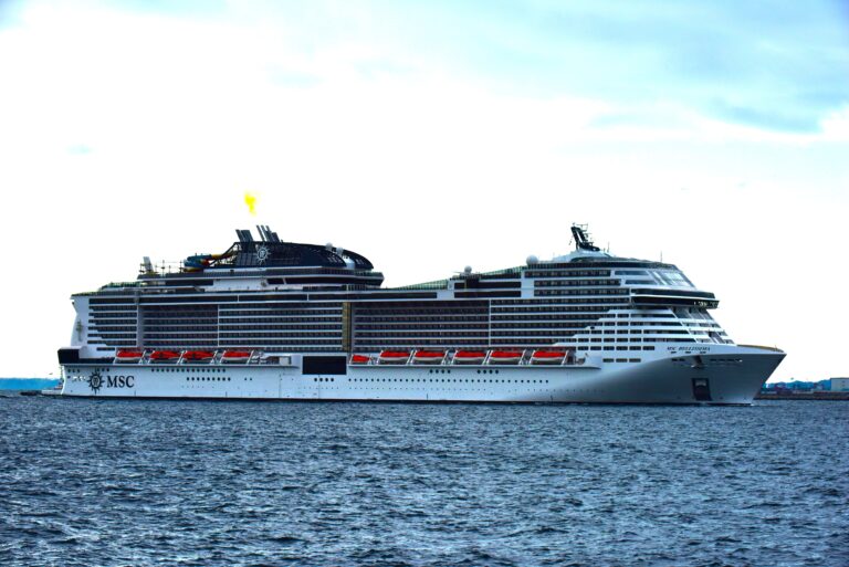 MSCベリッシマ（横浜港 大黒ふ頭）の写真
