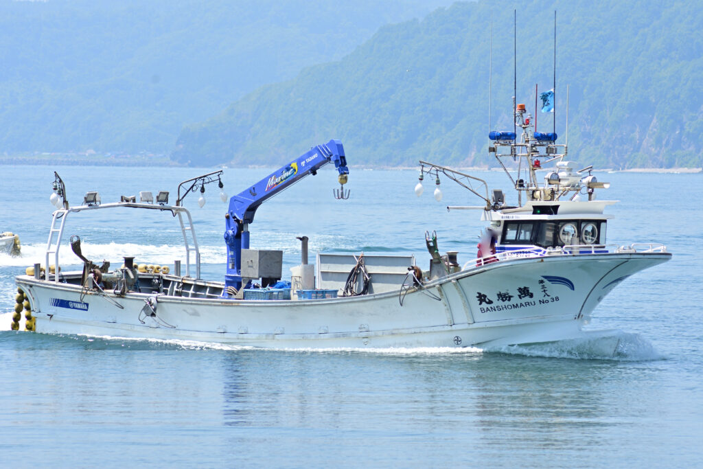 none | フネコ - Funeco