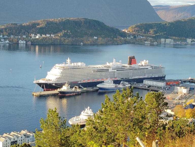 クイーン・アンの写真